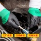 **登升#569握得牢尼龙丁腈乳胶磨砂耐磨防滑**浸胶劳动手套